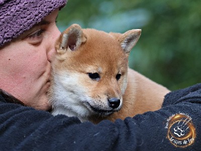 Umako des Griffes de Feu